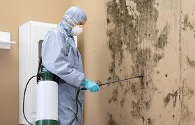 Best Airborne Mold Testing  in Bunker Hill Village, TX